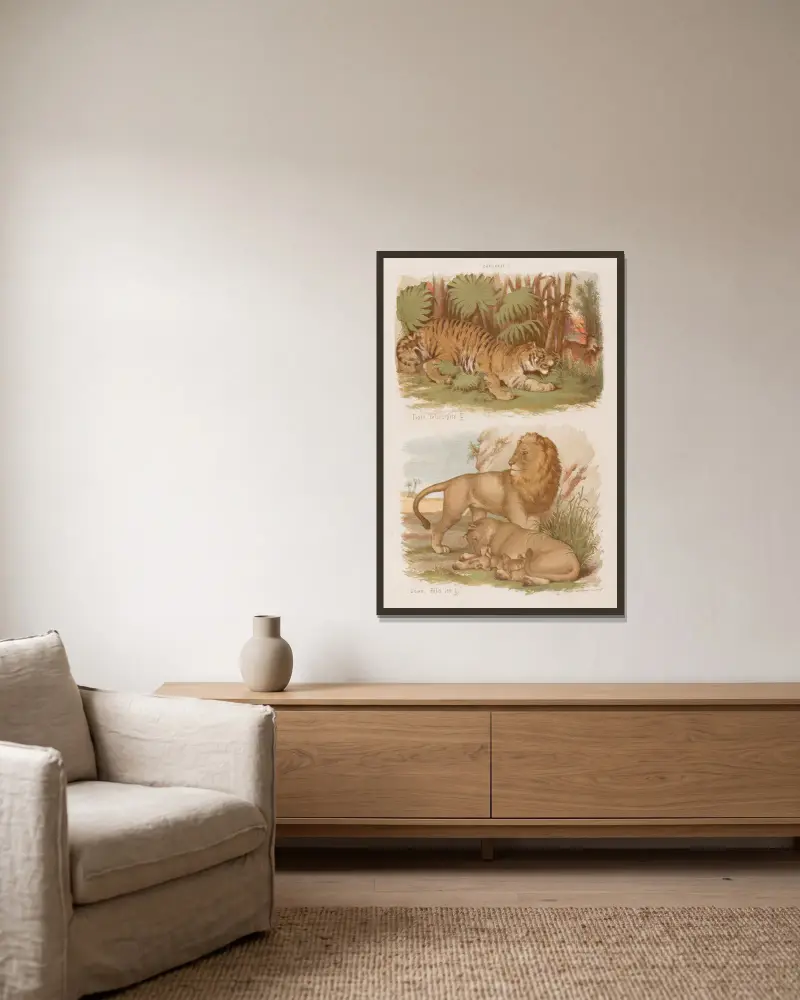 Stor atlas över zoologi, botanik och mineralogi, plansch 5 av Gustav von Hayek inramad på en vägg