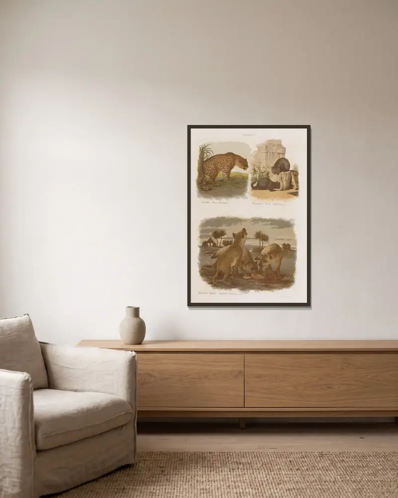 Stor atlas över zoologi, botanik och mineralogi, plansch 6 av Gustav von Hayek inramad på en vägg
