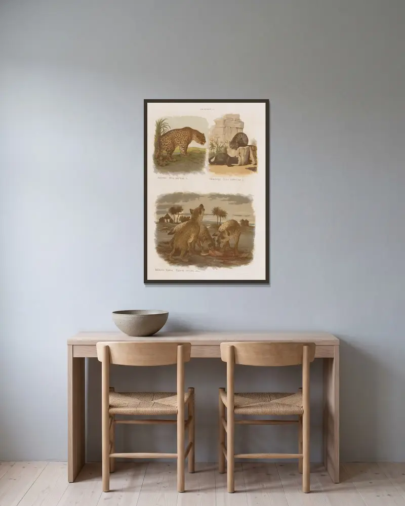 Stor atlas över zoologi, botanik och mineralogi, plansch 6 av Gustav von Hayek inramad på en vägg