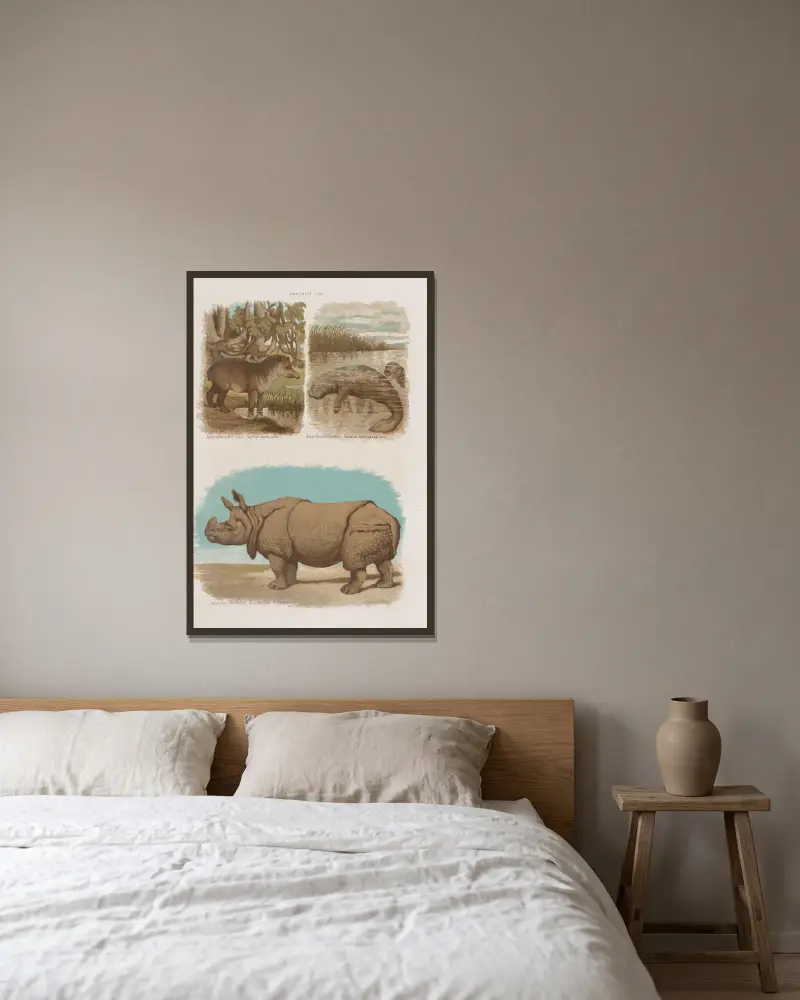 Stor atlas över zoologi, botanik och mineralogi, plansch 18 av Gustav von Hayek inramad på en vägg