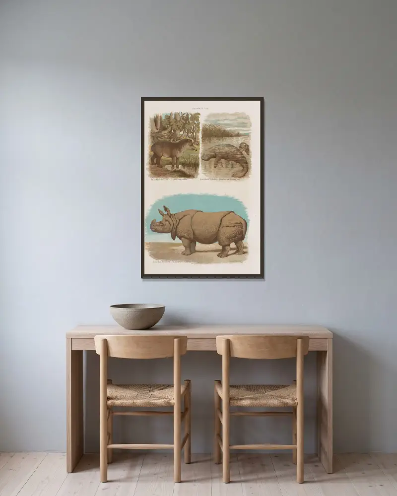 Stor atlas över zoologi, botanik och mineralogi, plansch 18 av Gustav von Hayek inramad på en vägg