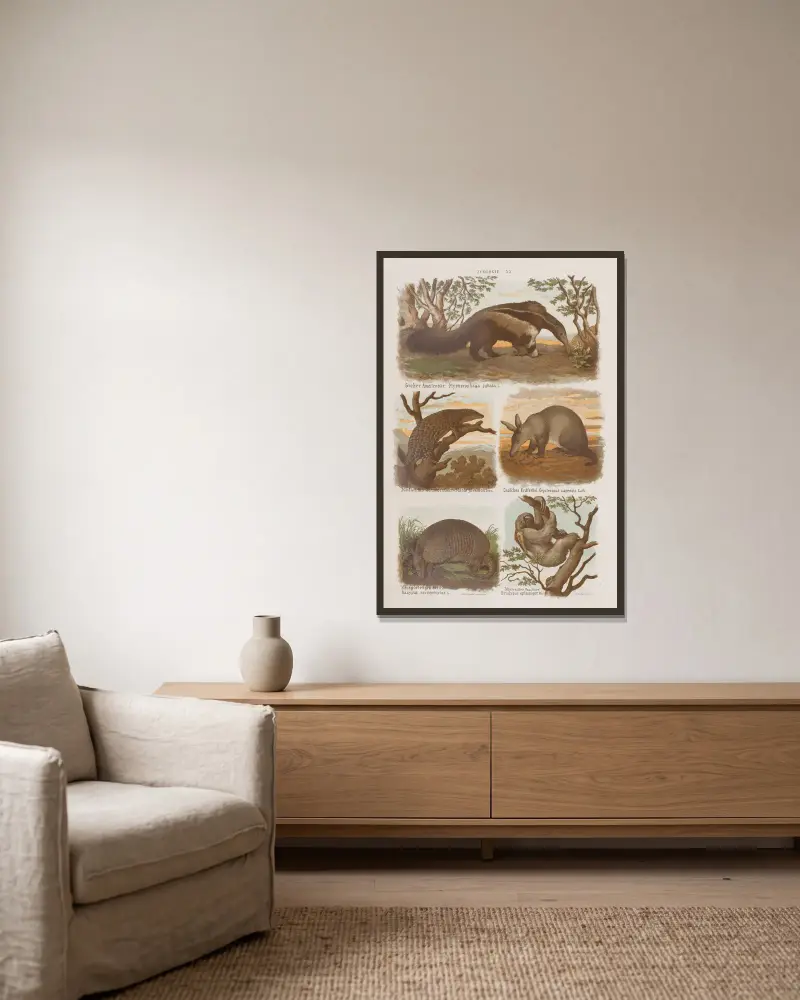 Großer Atlas der Zoologie, Botanik und Mineralogie, Tafel 20 von Gustav von Hayek gerahmt an einer Wand
