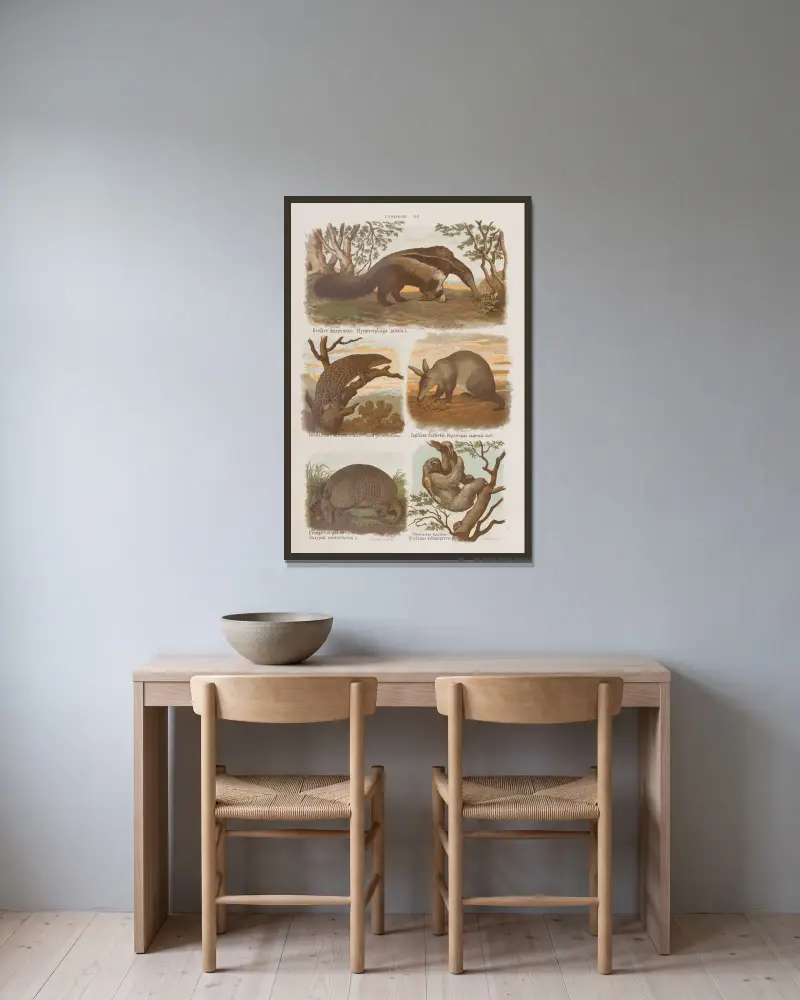 Großer Atlas der Zoologie, Botanik und Mineralogie, Tafel 20 von Gustav von Hayek gerahmt an einer Wand