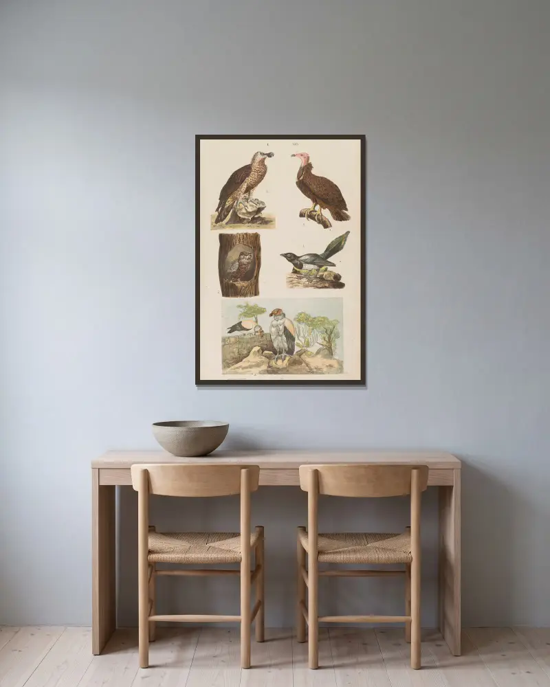 Großer Atlas der Zoologie, Botanik und Mineralogie, Tafel 29 von Gustav von Hayek gerahmt an einer Wand
