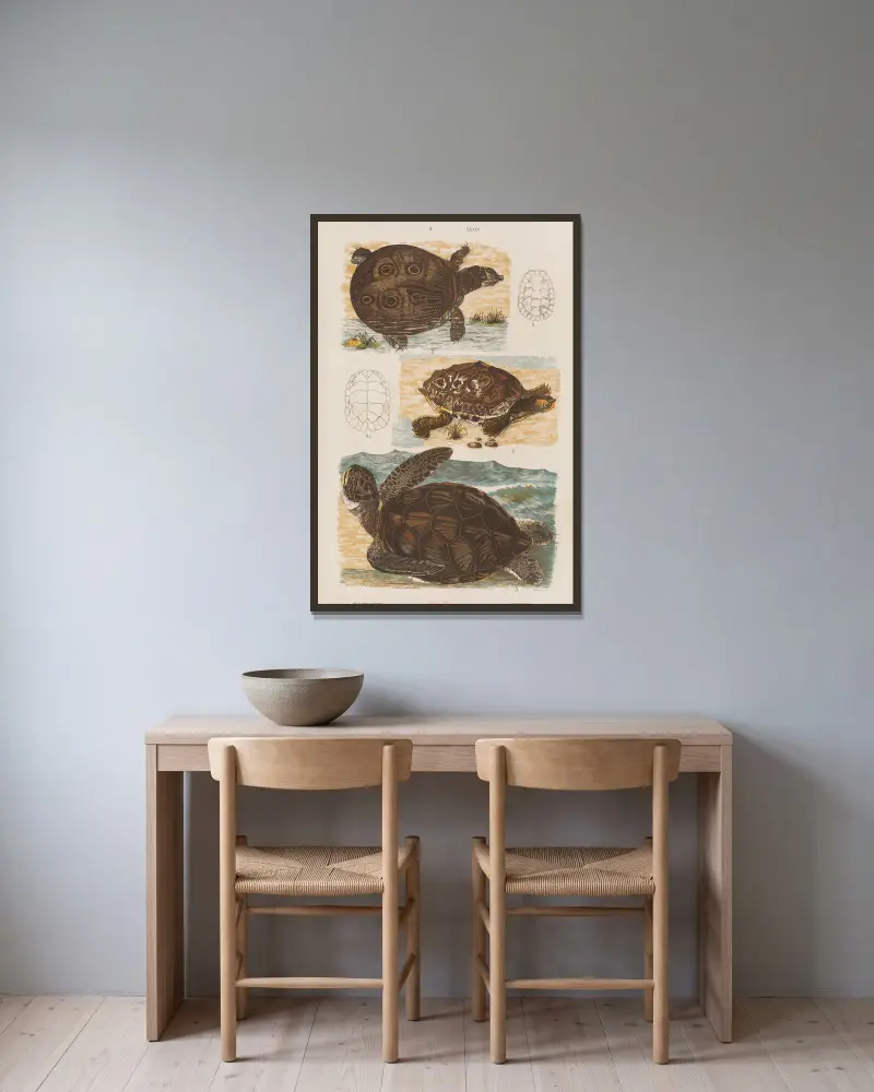 Stor atlas över zoologi, botanik och mineralogi, plansch 39 av Gustav von Hayek inramad på en vägg