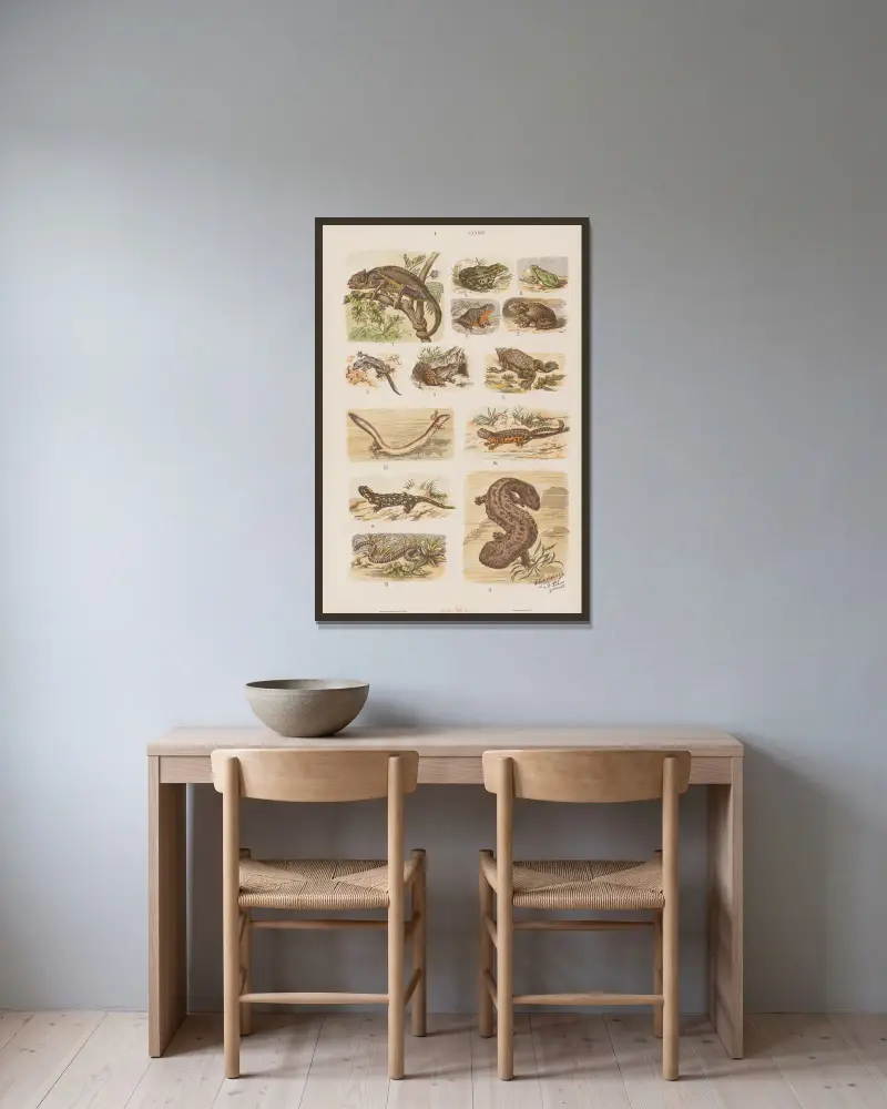 Großer Atlas der Zoologie, Botanik und Mineralogie, Tafel 43 von Gustav von Hayek gerahmt an einer Wand