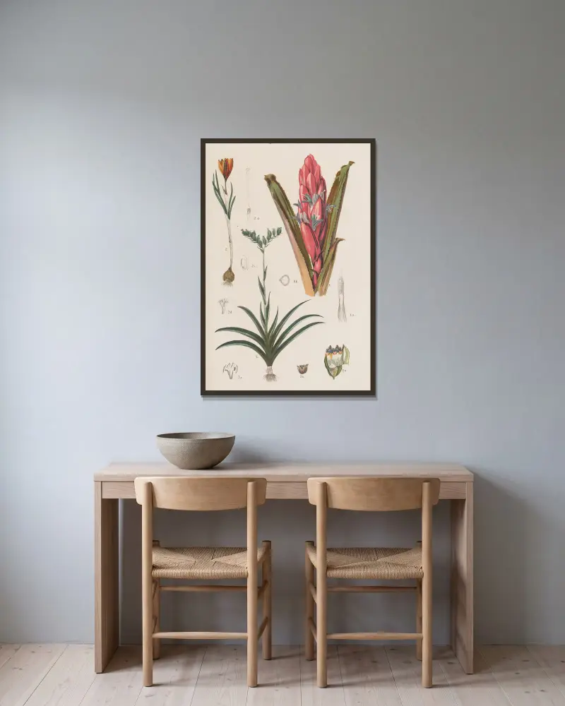 Großer Atlas für Zoologie, Botanik und Mineralogie, Tafel 100 von Gustav von Hayek gerahmt an einer Wand