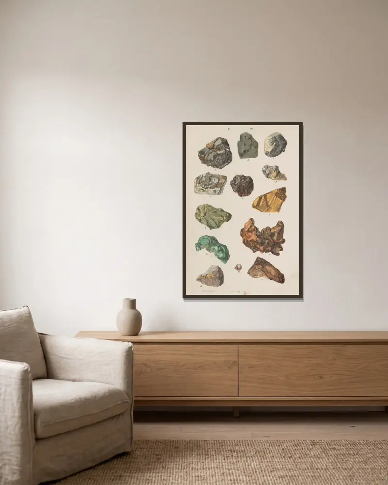 Stor atlas över zoologi, botanik och mineralogi, plansch 120 av Gustav von Hayek inramad på en vägg
