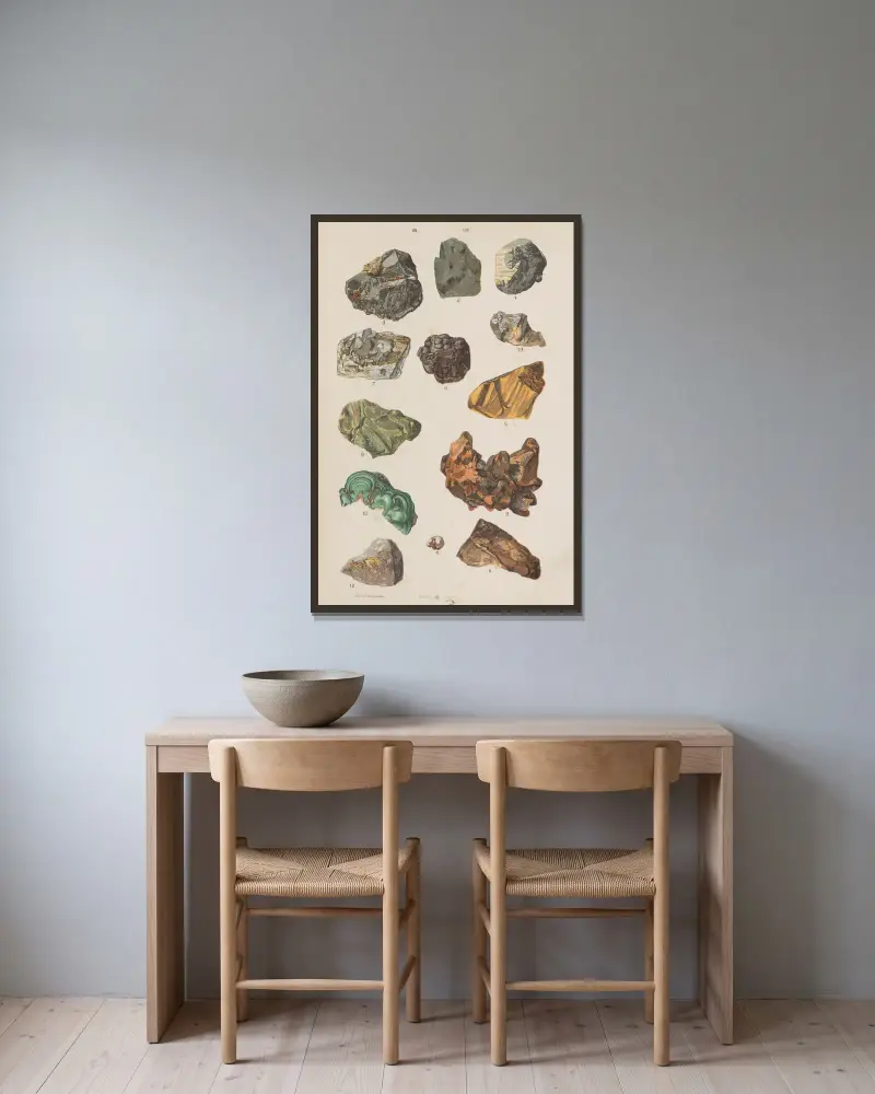 Stor atlas över zoologi, botanik och mineralogi, plansch 120 av Gustav von Hayek inramad på en vägg