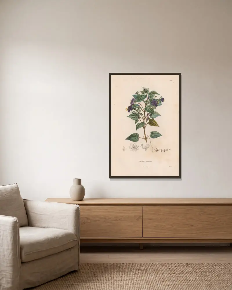 Botanique Pl.10 av Alexander von Humboldt inramad på en vägg