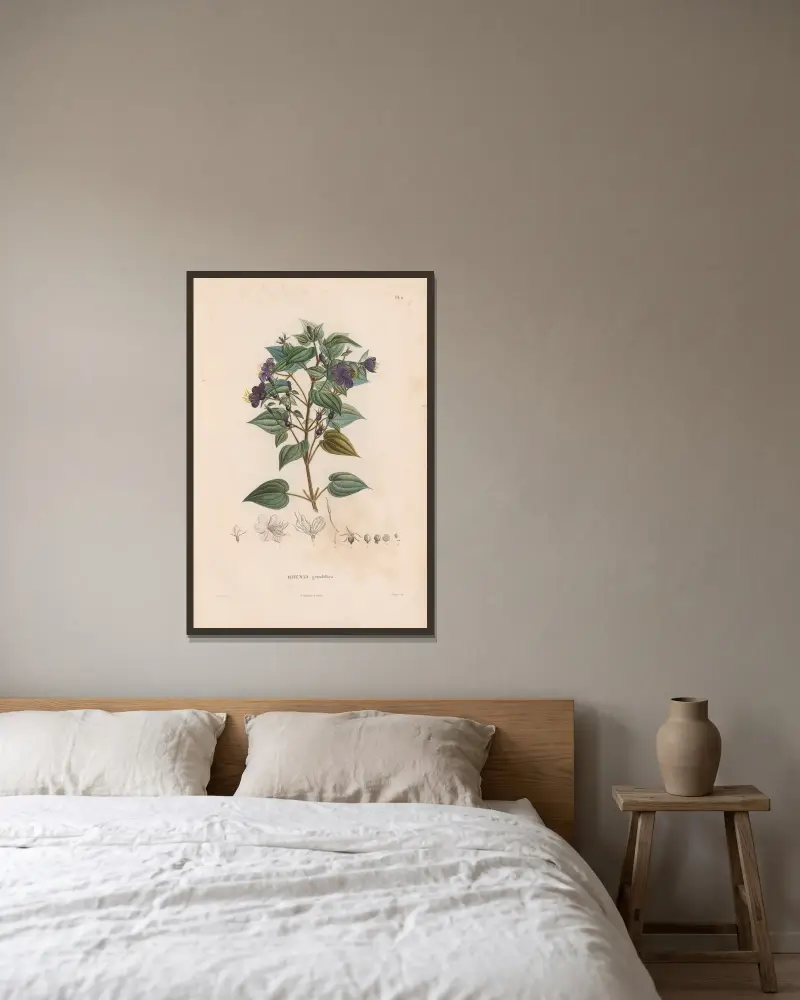 Botanique Pl.10 av Alexander von Humboldt inramad på en vägg