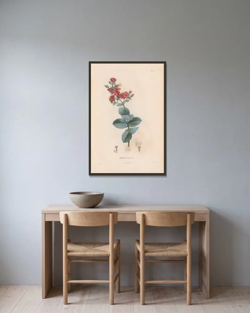 Botanik Taf. 11 von Alexander von Humboldt gerahmt an einer Wand