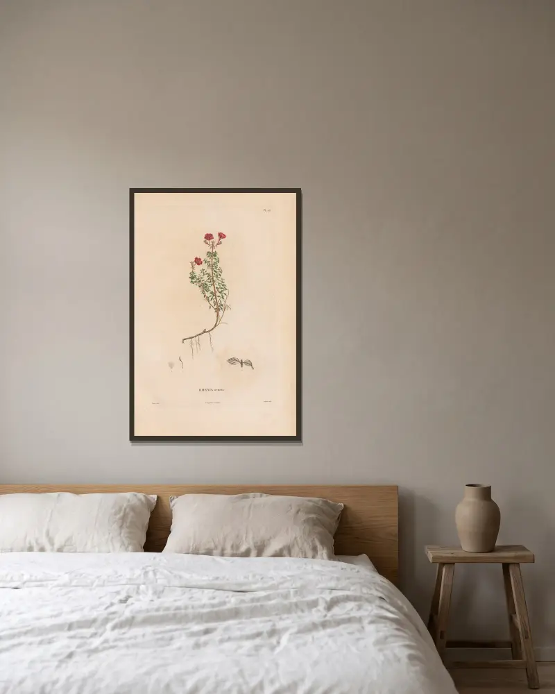 Botanique Pl.20 av Alexander von Humboldt inramad på en vägg