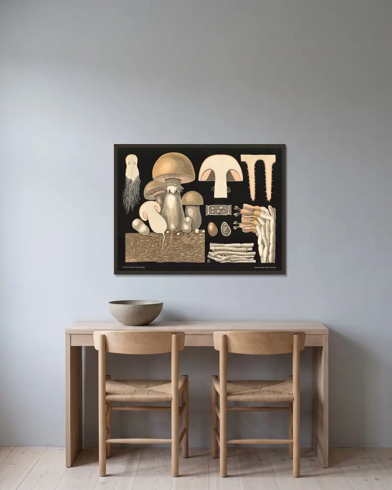 Pieczarka polna (Agaricus campestris), Gottlieb von Koch w ramie na ścianie