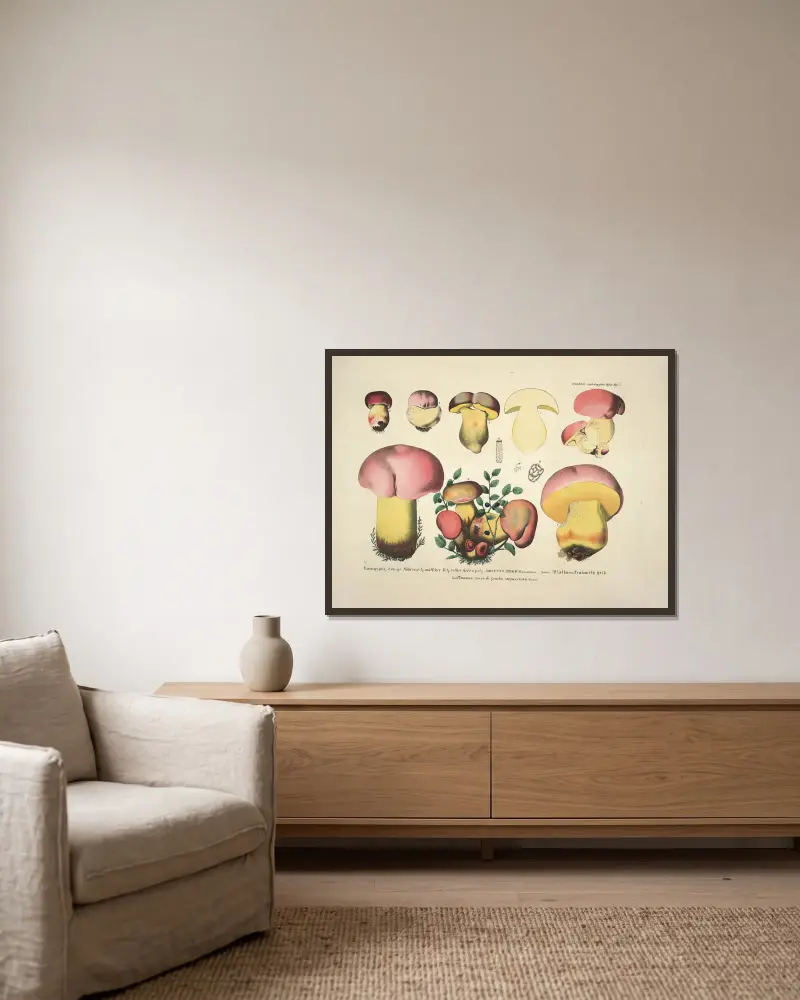 Naturgetreue Abbildungen und Beschreibungen der essbaren, schädlichen und verdächtigen Schwämme, Tafel 7 von Julius Vincenz von Krombholz gerahmt an einer Wand