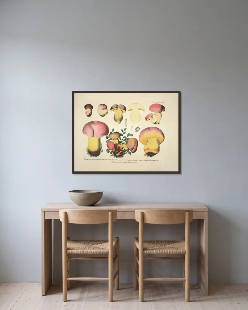 Naturgetreue Abbildungen und Beschreibungen der essbaren, schädlichen und verdächtigen Schwämme, Tafel 7 von Julius Vincenz von Krombholz gerahmt an einer Wand