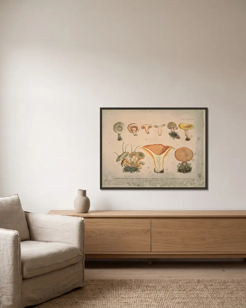Naturgetreue Abbildungen und Beschreibungen der essbaren, schädlichen und verdächtigen Schwämme, Tafel 11 von Julius Vincenz von Krombholz gerahmt an einer Wand