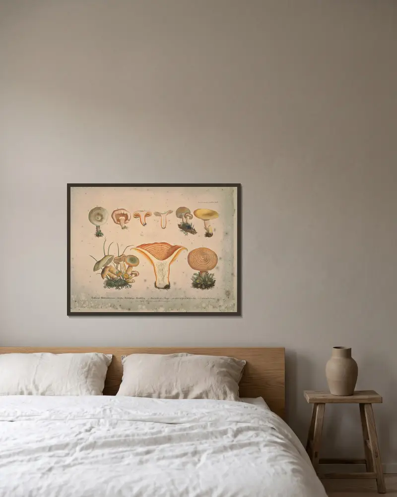 Naturgetreue Abbildungen und Beschreibungen der essbaren, schädlichen und verdächtigen Schwämme, Tafel 11 von Julius Vincenz von Krombholz gerahmt an einer Wand