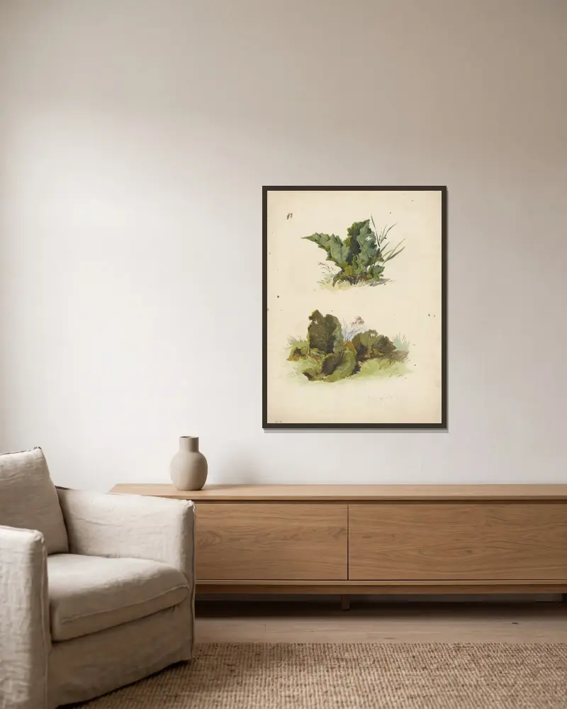 Studie breitblättriger Pflanzen von Friedrich Carl von Scheidlin gerahmt an einer Wand