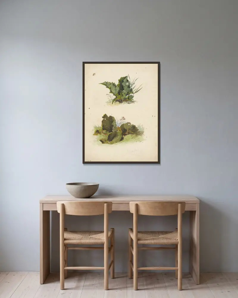Studie breitblättriger Pflanzen von Friedrich Carl von Scheidlin gerahmt an einer Wand