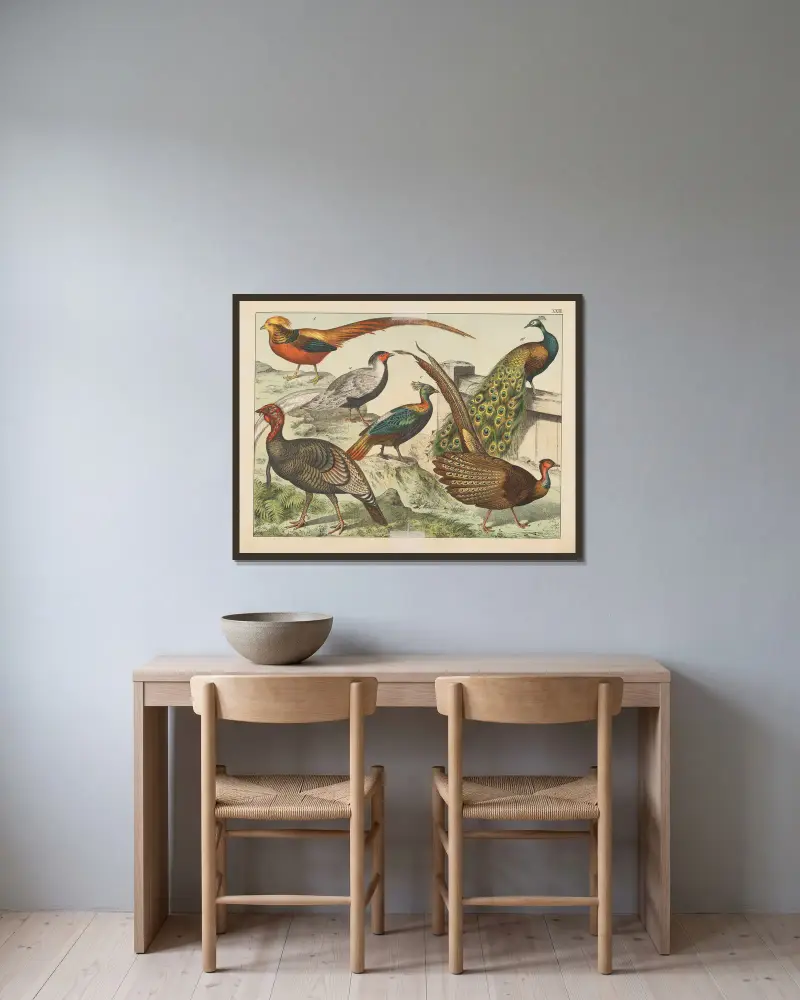 Naturgeschichte der Vögel, Tafel 23 von Gotthilf Heinrich von Schubert gerahmt an einer Wand
