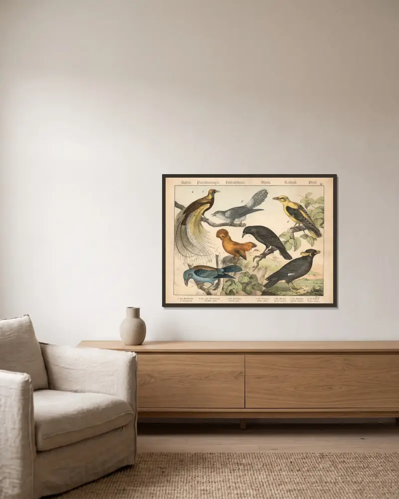 Raben, Paradiesvogel, Felsenhühner, Asseln, Kurkurk, Pirol von Gotthilf Heinrich von Schubert gerahmt an einer Wand