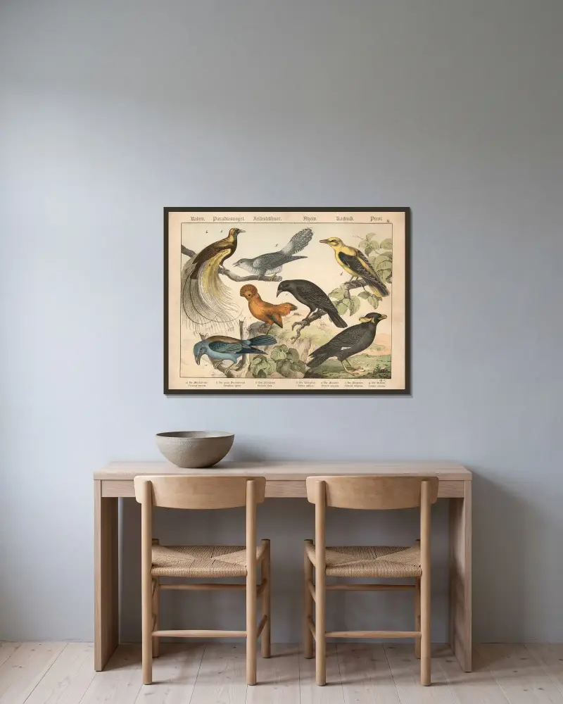 Raben, Paradiesvogel, Felsenhühner, Asseln, Kurkurk, Pirol von Gotthilf Heinrich von Schubert gerahmt an einer Wand