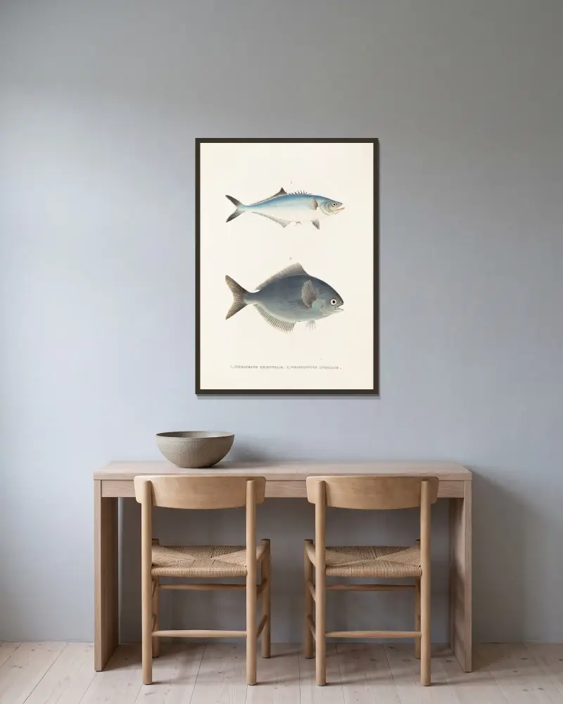 Fauna japonica Pl.070 av Philipp Franz Balthasar von Siebold inramad på en vägg