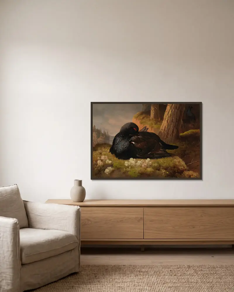 Black Grouse av Ferdinand von Wright inramad på en vägg