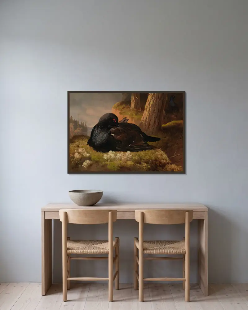 Black Grouse av Ferdinand von Wright inramad på en vägg