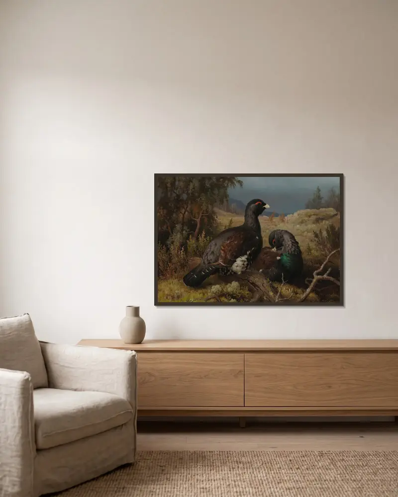 Capercaillie Cocks av Ferdinand von Wright inramad på en vägg