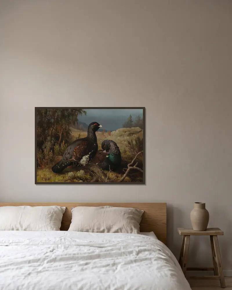 Capercaillie Cocks av Ferdinand von Wright inramad på en vägg