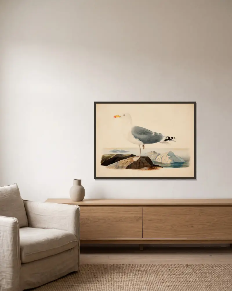 European Herring Gull av Ferdinand von Wright inramad på en vägg