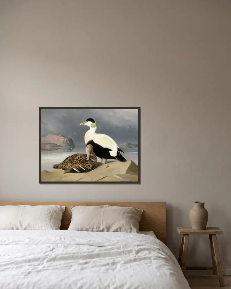 Kaksi Haahkaa av Ferdinand von Wright inramad på en vägg