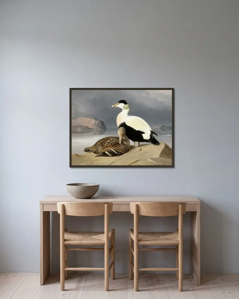 Kaksi Haahkaa av Ferdinand von Wright inramad på en vägg