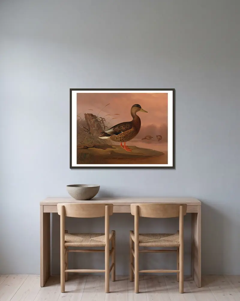 Mallard av Ferdinand von Wright inramad på en vägg