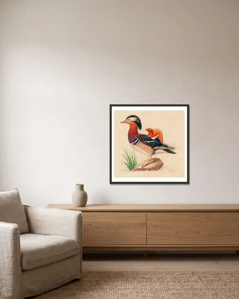 Mandarinente, Erpel von Ferdinand von Wright gerahmt an einer Wand