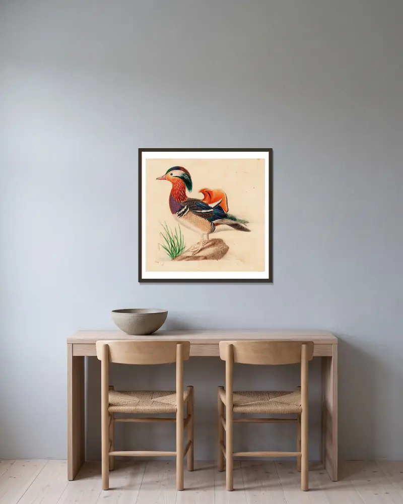 Mandarinente, Erpel von Ferdinand von Wright gerahmt an einer Wand