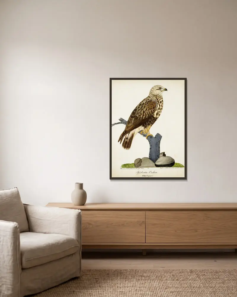 Rough-Legged Buzzard av Ferdinand von Wright inramad på en vägg