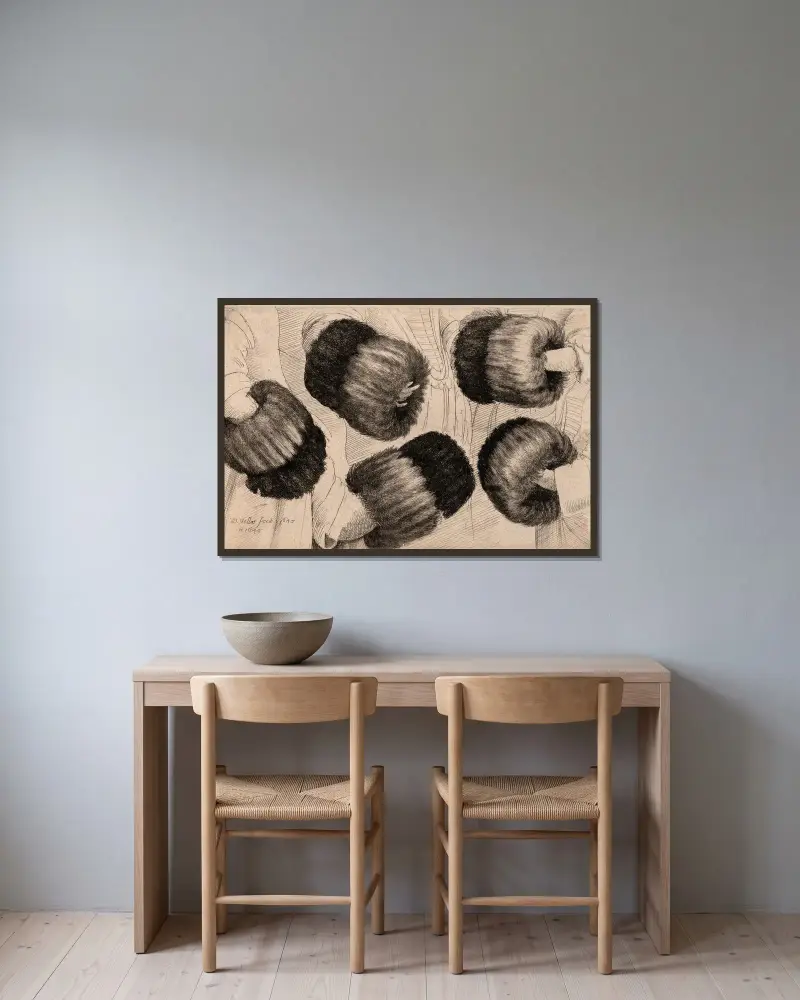 A Muff in Five Views av Wenceslaus Hollar inramad på en vägg