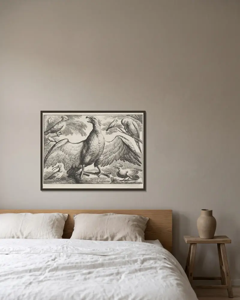 Ein Adler mit ausgebreiteten Flügeln steht auf einem Felsen, umgeben von sechs anderen Vögeln von Wenceslaus Hollar gerahmt an einer Wand