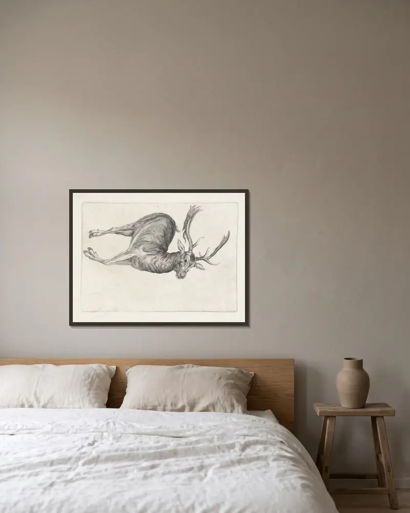 Toter Damhirsch, auf der linken Seite liegend, Kopf nach rechts von Wenceslaus Hollar gerahmt an einer Wand