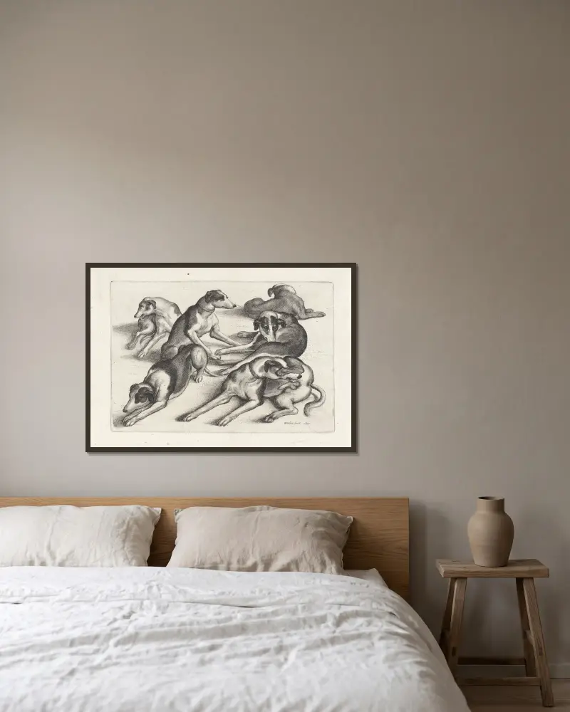 Fem hundar liggande på marken, slickande sig av Wenceslaus Hollar inramad på en vägg