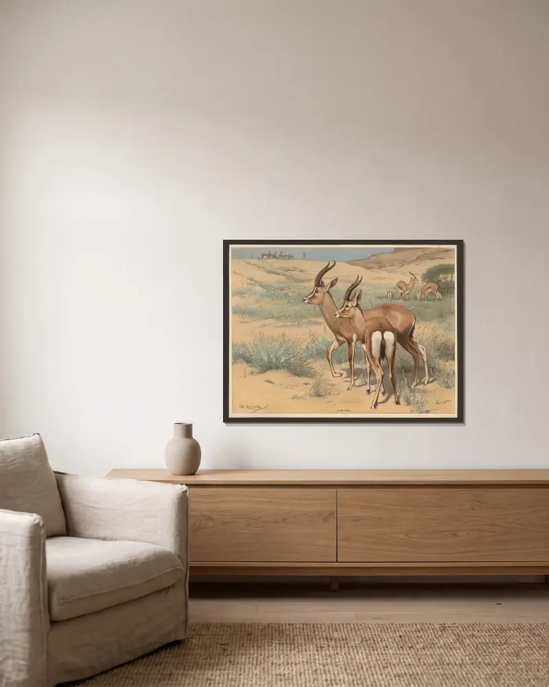 Gazelle av Wilhelm Kuhnert inramad på en vägg