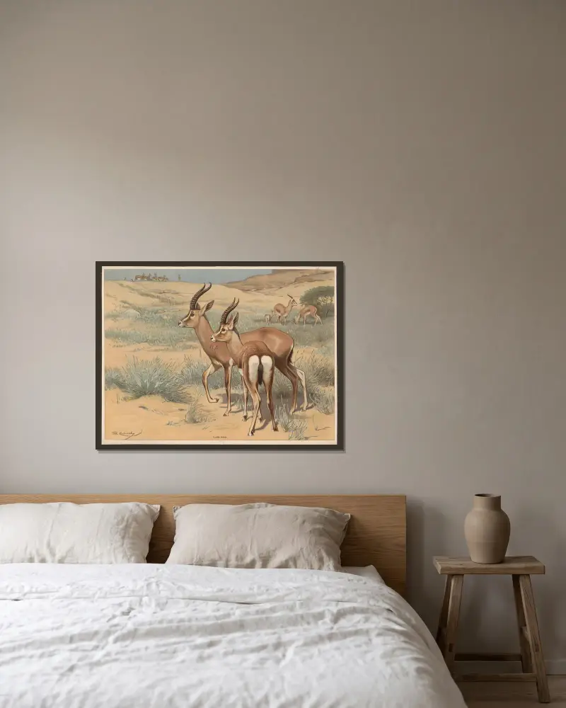 Gazelle av Wilhelm Kuhnert inramad på en vägg