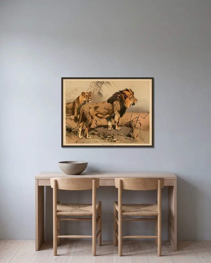 Lion and lioness av Wilhelm Kuhnert inramad på en vägg