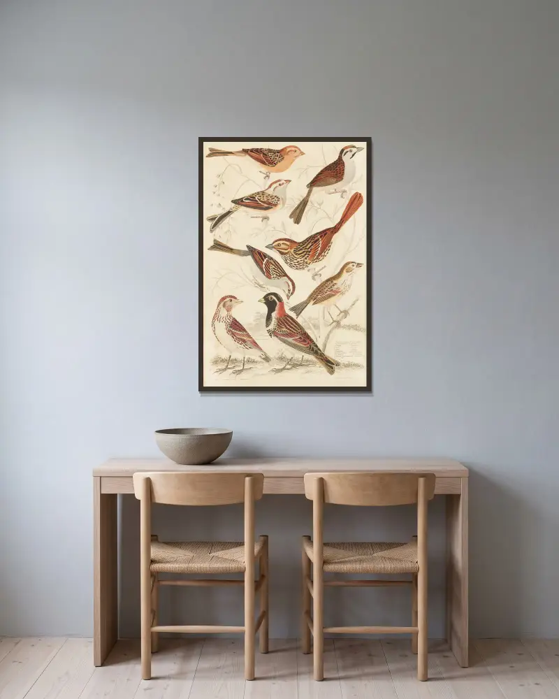 Finches av William MacGillivray inramad på en vägg