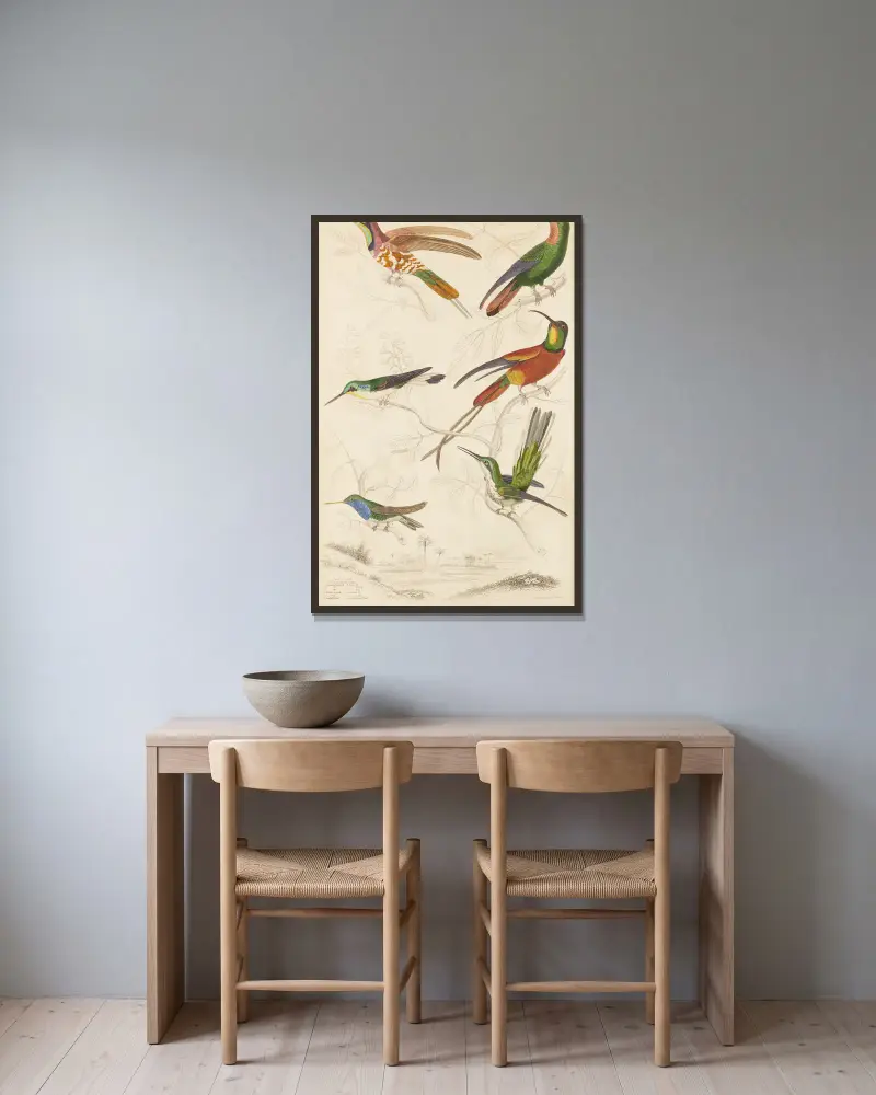 Kolibris, 1835 – Nr. 3 von William MacGillivray gerahmt an einer Wand