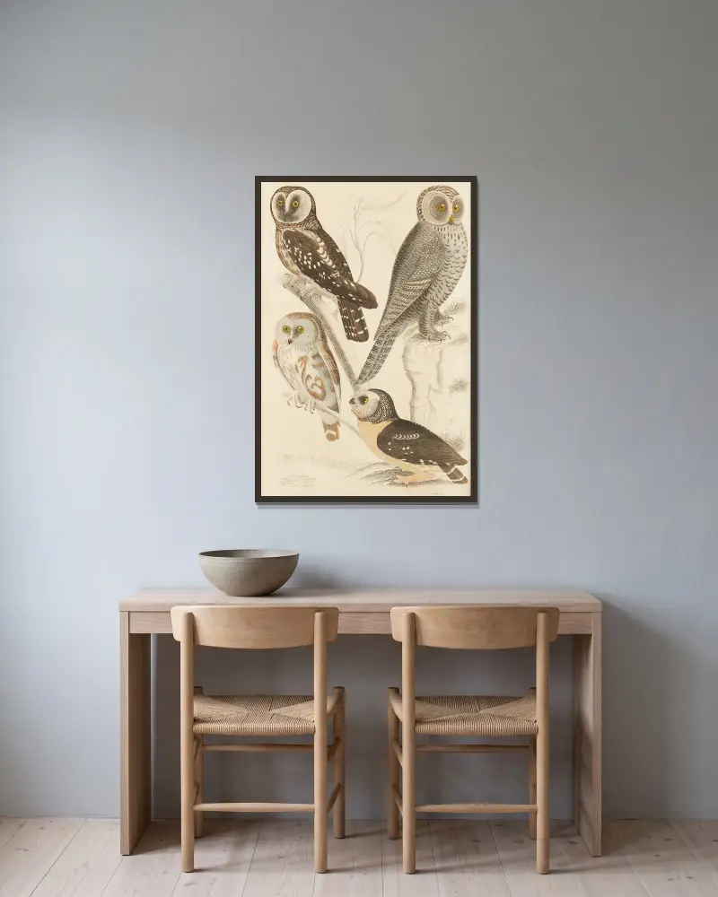 Eulen von William MacGillivray gerahmt an einer Wand