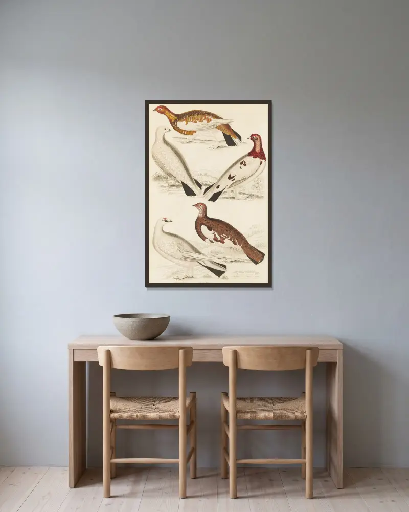 Ptarmigan av William MacGillivray inramad på en vägg